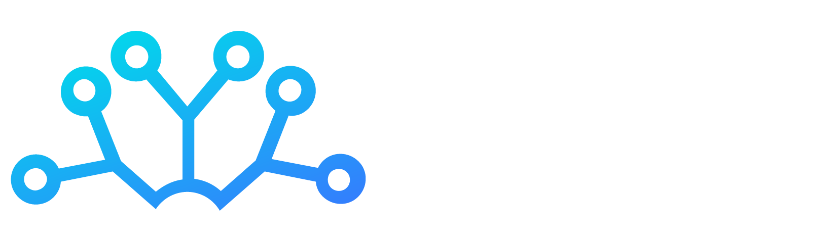 I2SNetwork